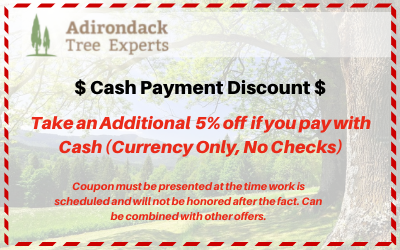 5% off cash discount coupon