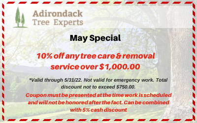 10% off tree services coupon