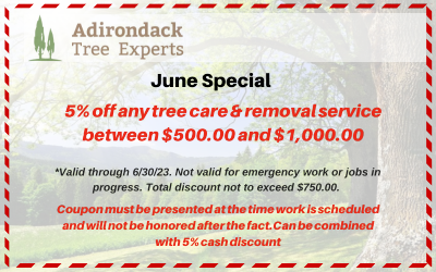 5% off tree services coupon