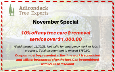 10% off tree services coupon
