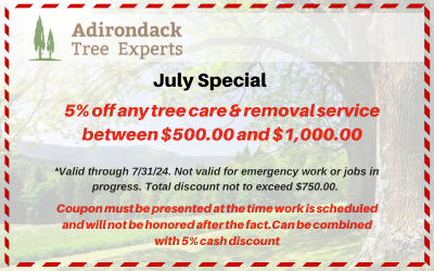 5% off tree services coupon