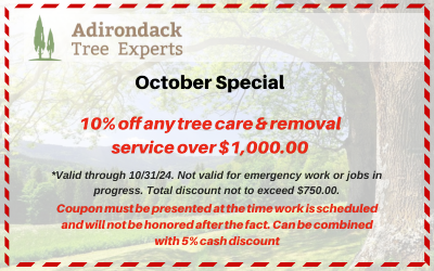 10% off tree services coupon