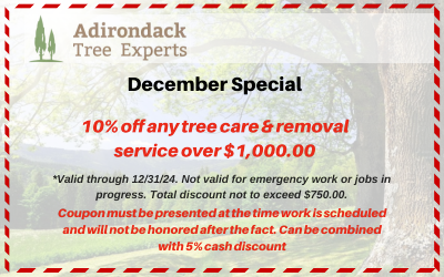 10% off tree services coupon