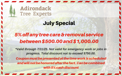 5% off tree services coupon