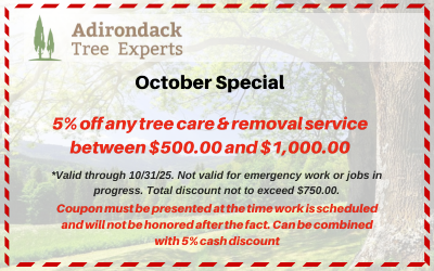 5% off tree services coupon