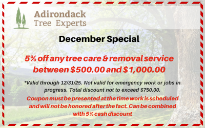 5% off tree services coupon