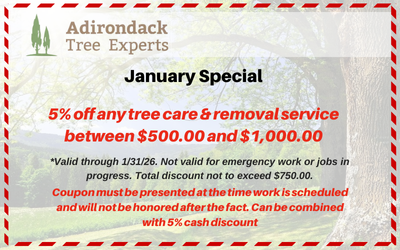 5% off tree services coupon
