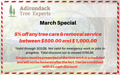 5% off tree services coupon