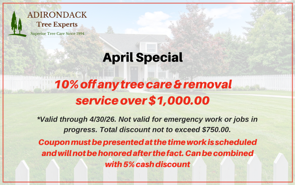 10% off tree services coupon