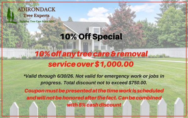 10% off tree services coupon